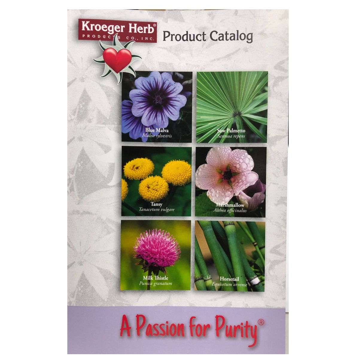 Free Catalog Hanna's Herb Shop