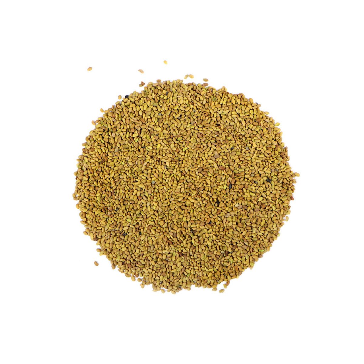Alfalfa Seed, Cert. Organic