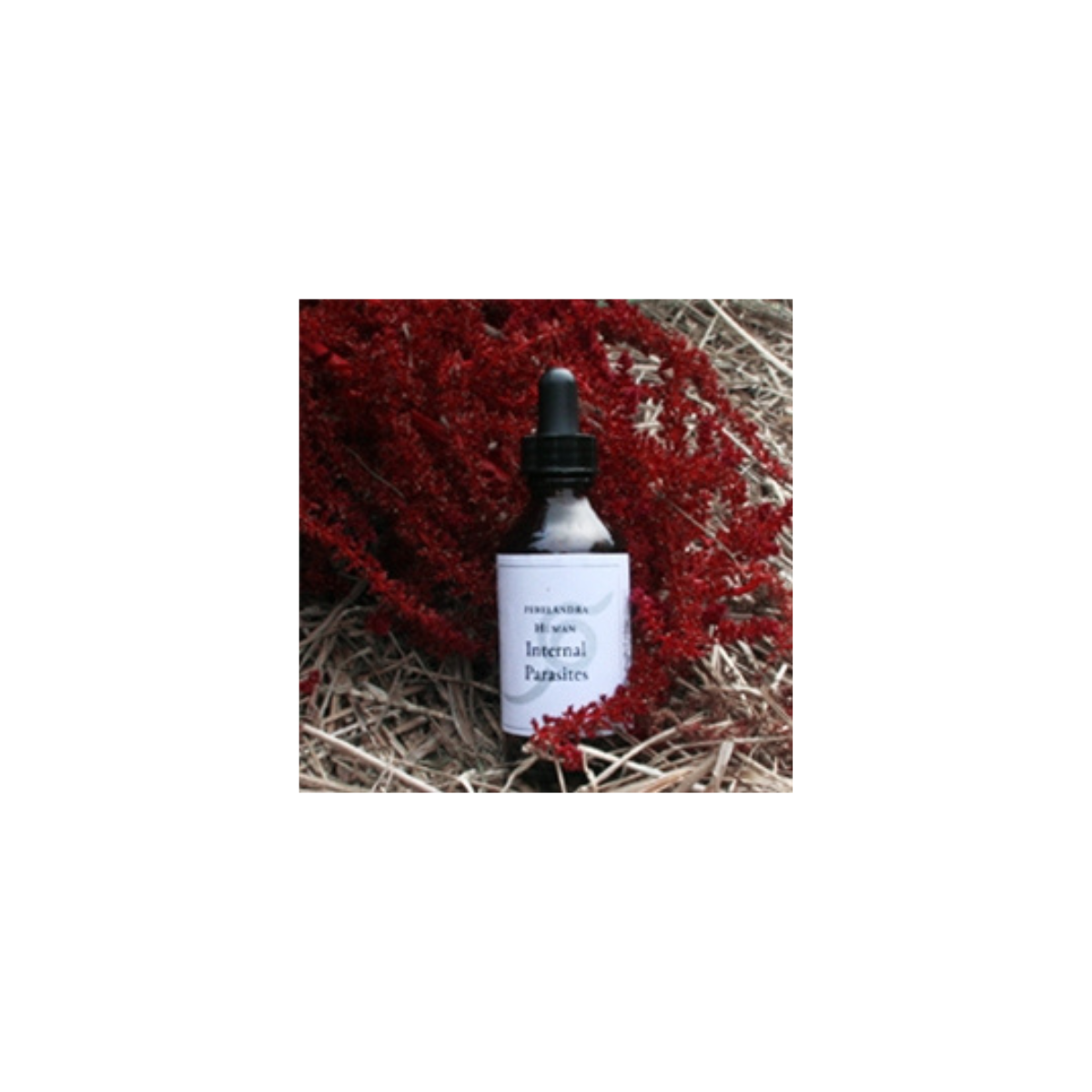 Hanna's Herb Shop Lungenflukes 30Ml • EUR 9,98 - DE