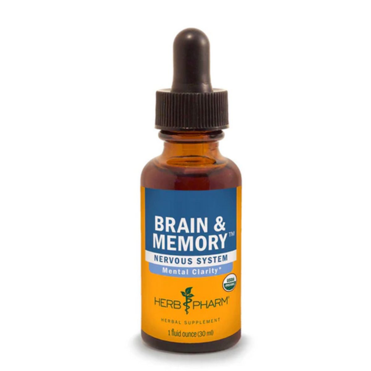 Brain & Memory