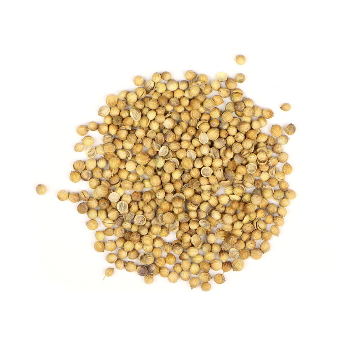 Coriander Seed, Whole Cert. Organic