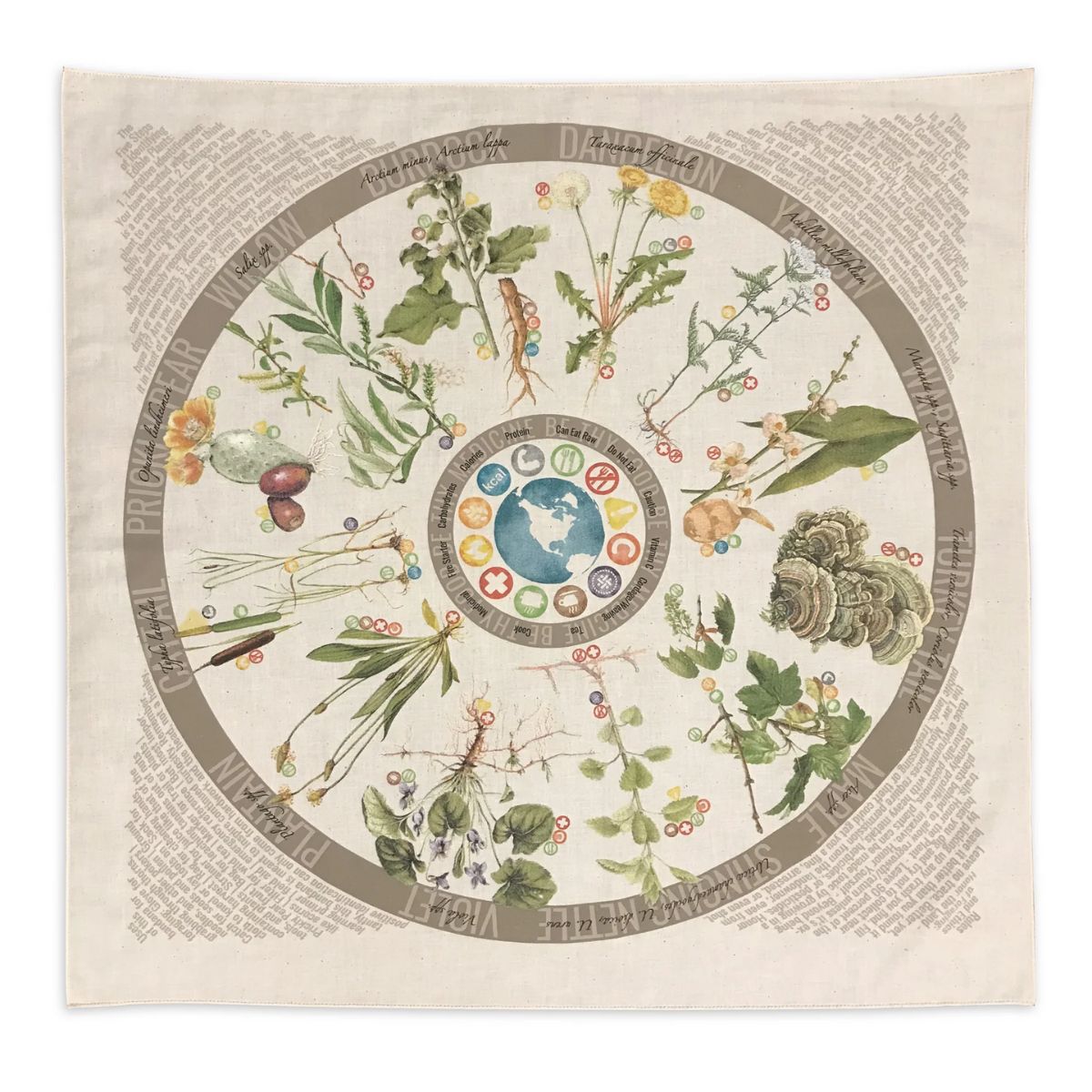 Foraging Bandana