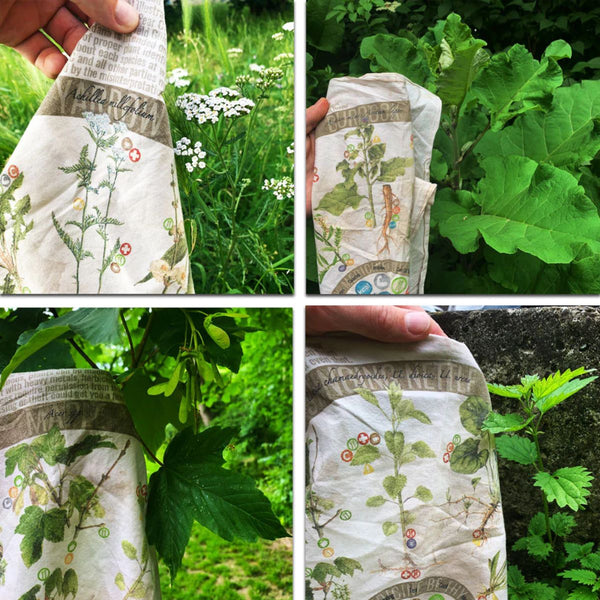 Foraging Bandana
