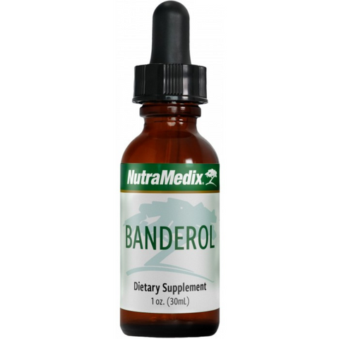 Banderol-Call to Order