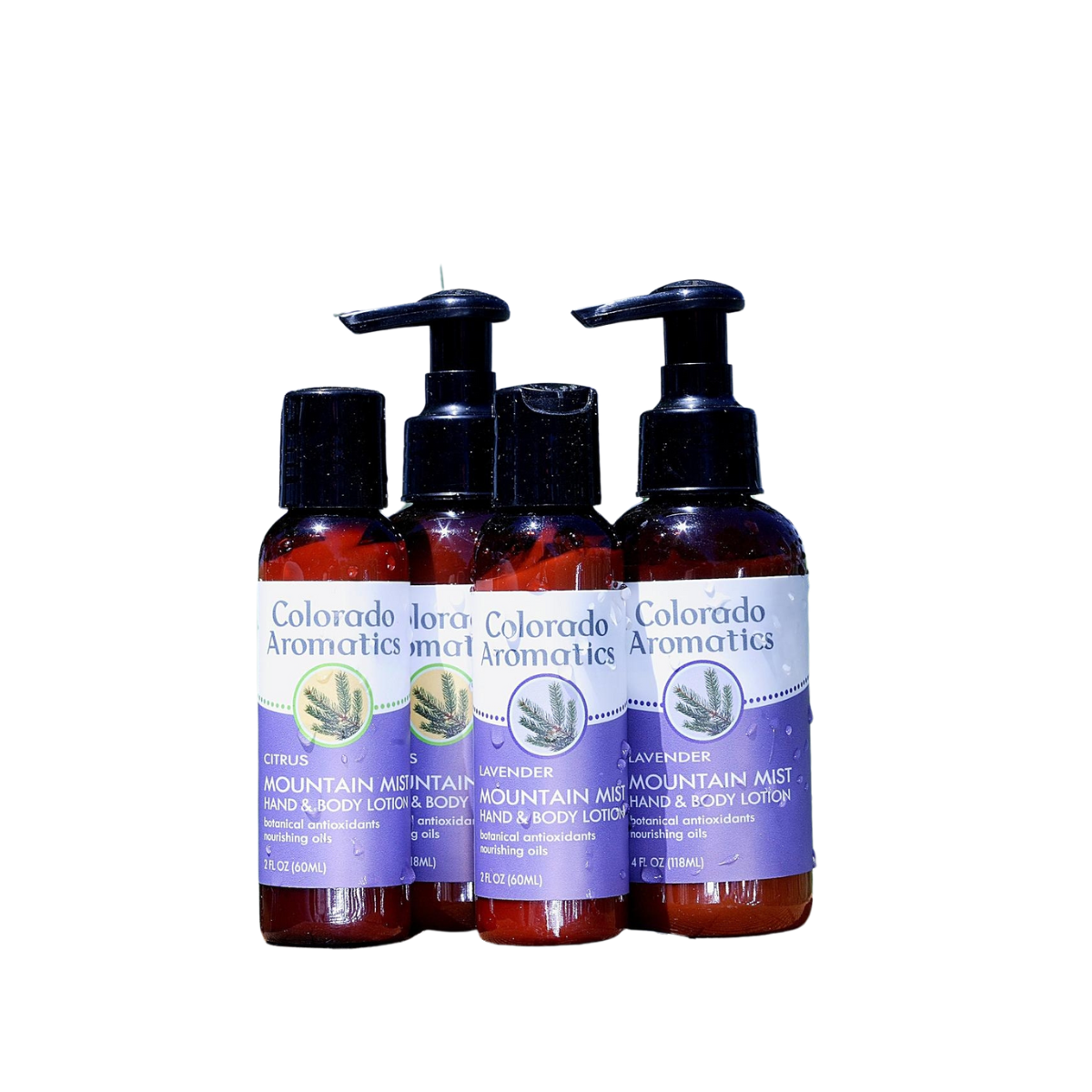 Mountain Mist Citrus Hand & Body Lotion