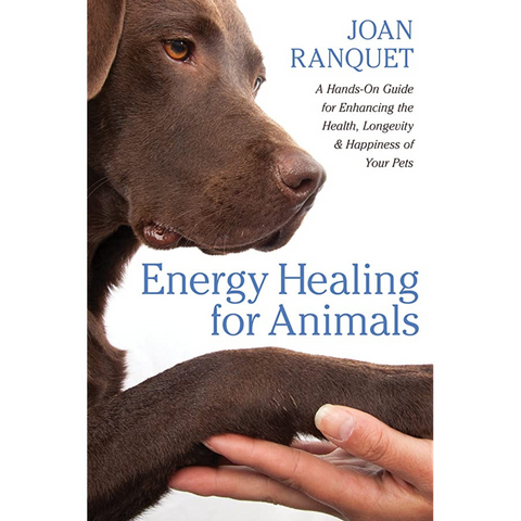 Energy Healing For Animals