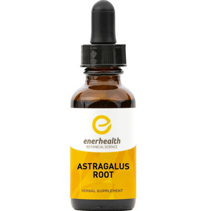 Astragalus Root Tincture (Astragalus membranaceus)