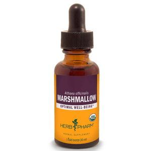 Marshmallow Root Tincture
