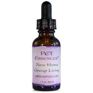 New Home/ Group Living Pet Essence