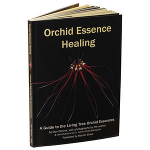 Orchid Essence Healing: A Guide to the Living Tree Orchid Essences
