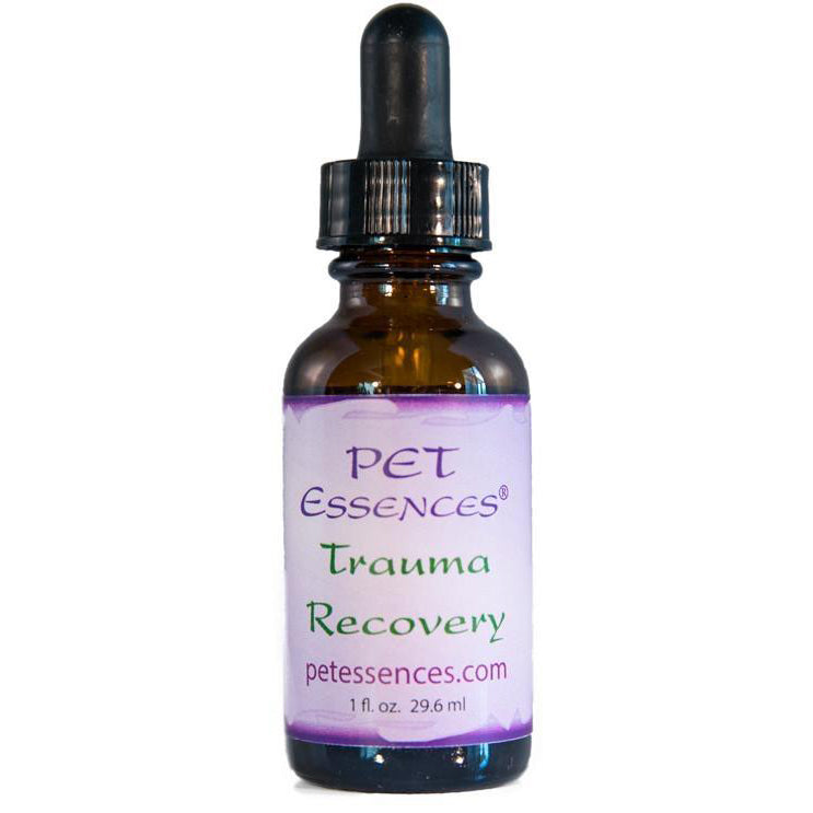 Trauma Recovery Pet Essence