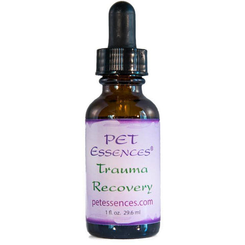Trauma Recovery Pet Essence