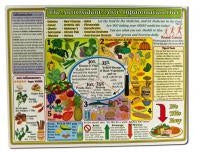 Antioxidant/ Anti- Inflammation Diet Chart