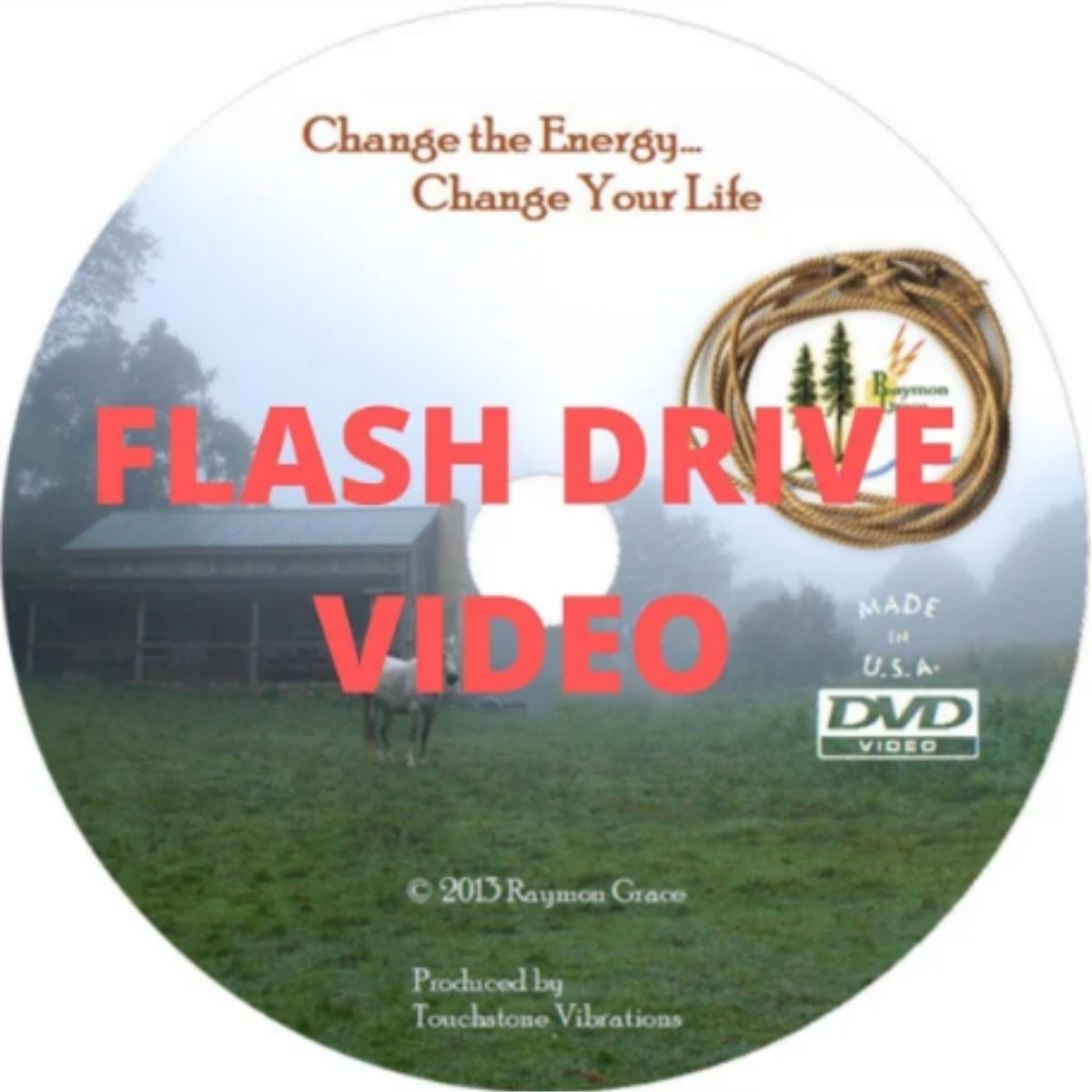 Change The Energy- Change Your Life (Energize Your Life) USB