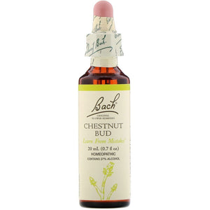 Chestnut Bud, Flower Essence