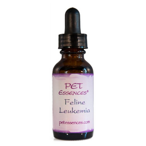 Feline Leukemia Pet Essence
