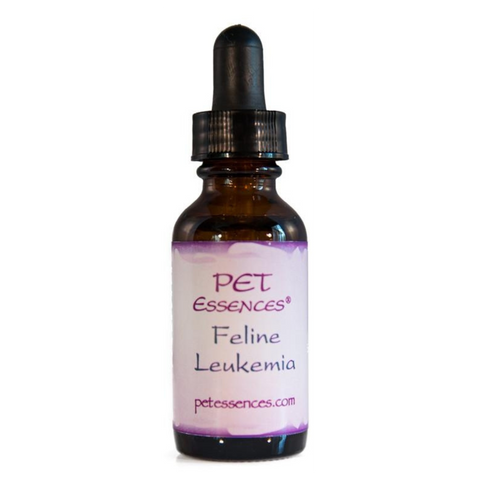 Feline Leukemia Pet Essence