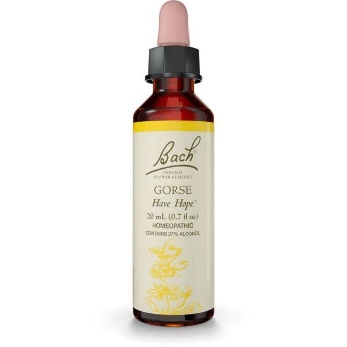 Gorse, Flower Essence