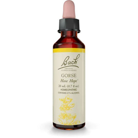 Gorse, Flower Essence