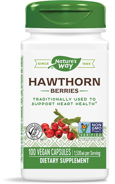 Hawthorn Berries