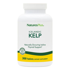 Kelp, Icelandic