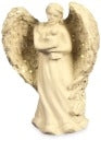 Amazing Angels™- Protection Pocket Angel